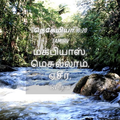 Picture 04 - நெகேமியா 10:20 TAMIRV - மக்பியாஸ், - Bible Verse Picture