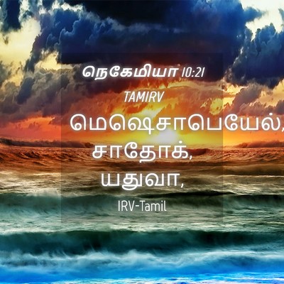 Picture 04 - நெகேமியா 10:21 TAMIRV - மெஷெசாபெயேல், - Bible Verse Picture