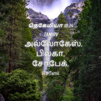 Picture 04 - நெகேமியா 10:24 TAMIRV - அல்லோகேஸ், பிலகா, - Bible Verse Picture