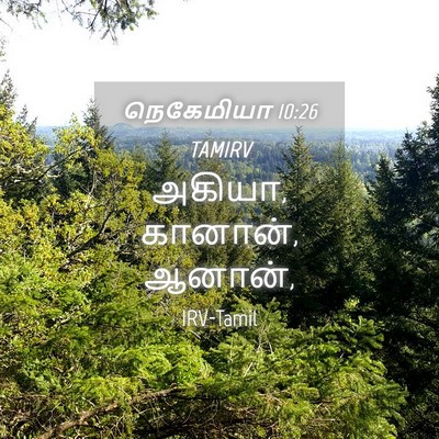 Picture 04 - நெகேமியா 10:26 TAMIRV - அகியா, கானான், - Bible Verse Picture