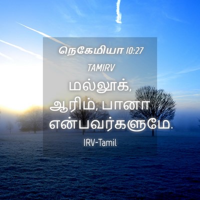 Picture 04 - நெகேமியா 10:27 TAMIRV - மல்லூக், ஆரிம், - Bible Verse Picture