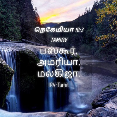 Picture 04 - நெகேமியா 10:3 TAMIRV - பஸ்கூர், அமரியா, - Bible Verse Picture