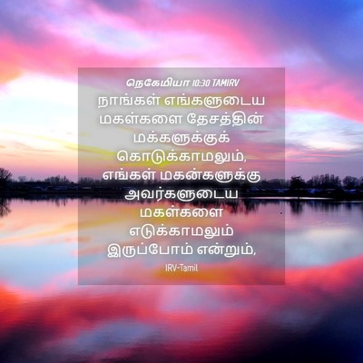 Picture 04 - நெகேமியா 10:30 TAMIRV - நாங்கள் எங்களுடைய - Bible Verse Picture