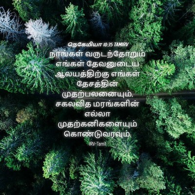 Picture 04 - நெகேமியா 10:35 TAMIRV - நாங்கள் - Bible Verse Picture