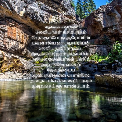 Picture 04 - நெகேமியா 10:38 TAMIRV - லேவியர்கள் - Bible Verse Picture