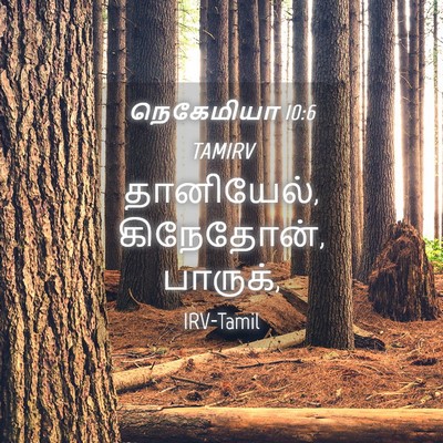 Picture 04 - நெகேமியா 10:6 TAMIRV - தானியேல், - Bible Verse Picture