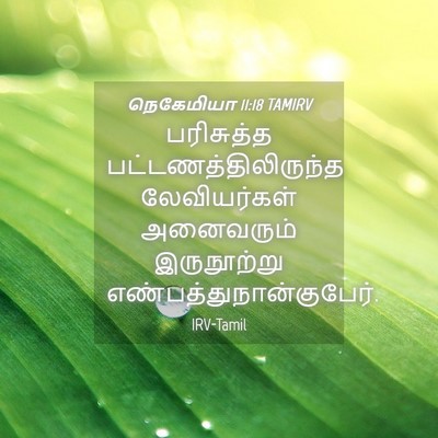 Picture 04 - நெகேமியா 11:18 TAMIRV - பரிசுத்த - Bible Verse Picture