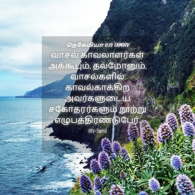 Picture 04 - நெகேமியா 11:19 TAMIRV - வாசல் காவலாளர்கள் - Bible Verse Picture