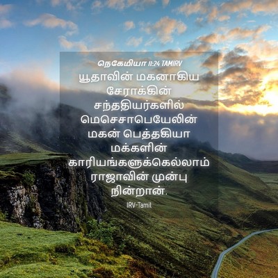 Picture 04 - நெகேமியா 11:24 TAMIRV - யூதாவின் மகனாகிய - Bible Verse Picture