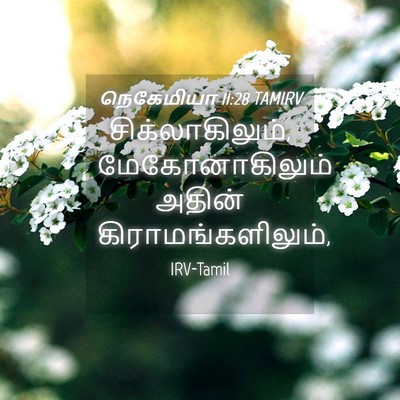Picture 04 - நெகேமியா 11:28 TAMIRV - சிக்லாகிலும், - Bible Verse Picture