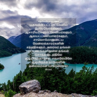 Picture 04 - நெகேமியா 11:3 TAMIRV - யூதாவின் - Bible Verse Picture
