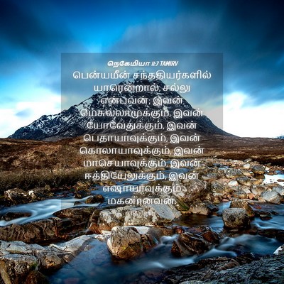 Picture 04 - நெகேமியா 11:7 TAMIRV - பென்யமீன் - Bible Verse Picture