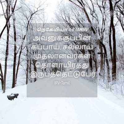 Picture 04 - நெகேமியா 11:8 TAMIRV - அவனுக்குப்பின் - Bible Verse Picture