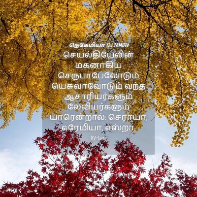 Picture 04 - நெகேமியா 12:1 TAMIRV - செயல்தியேலின் - Bible Verse Picture