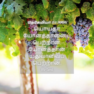 Picture 04 - நெகேமியா 12:11 TAMIRV - யொயதா யோனத்தானைப் - Bible Verse Picture