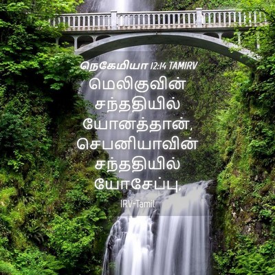 Picture 04 - நெகேமியா 12:14 TAMIRV - மெலிகுவின் - Bible Verse Picture