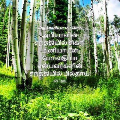 Picture 04 - நெகேமியா 12:17 TAMIRV - அபியாவின் - Bible Verse Picture
