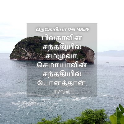 Picture 04 - நெகேமியா 12:18 TAMIRV - பில்காவின் - Bible Verse Picture