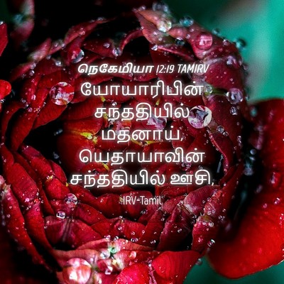 Picture 04 - நெகேமியா 12:19 TAMIRV - யோயாரிபின் - Bible Verse Picture
