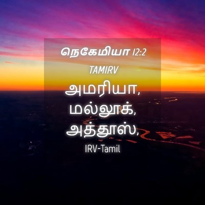 Picture 04 - நெகேமியா 12:2 TAMIRV - அமரியா, மல்லூக், - Bible Verse Picture