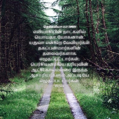 Picture 04 - நெகேமியா 12:22 TAMIRV - எலியாசிபின் - Bible Verse Picture
