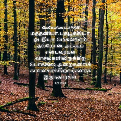 Picture 04 - நெகேமியா 12:25 TAMIRV - மத்தனியா, - Bible Verse Picture