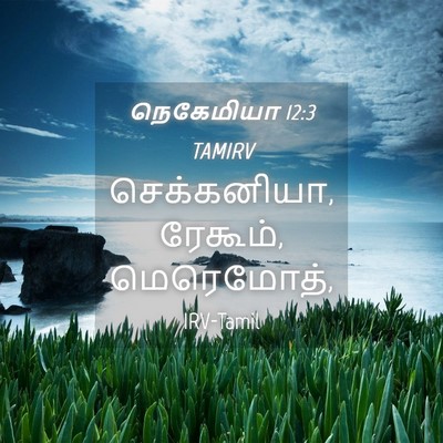 Picture 04 - நெகேமியா 12:3 TAMIRV - செக்கனியா, ரேகூம், - Bible Verse Picture