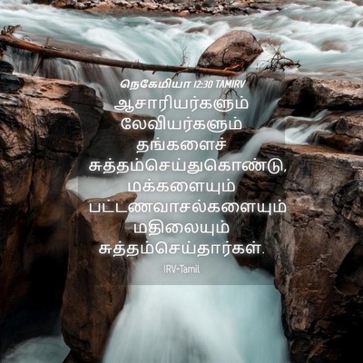 Picture 04 - நெகேமியா 12:30 TAMIRV - ஆசாரியர்களும் - Bible Verse Picture