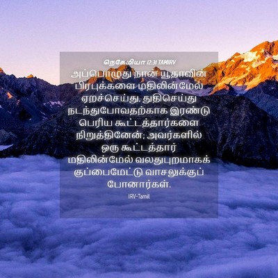 Picture 04 - நெகேமியா 12:31 TAMIRV - அப்பொழுது நான் - Bible Verse Picture