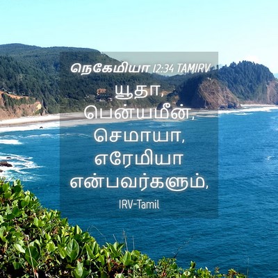 Picture 04 - நெகேமியா 12:34 TAMIRV - யூதா, பென்யமீன், - Bible Verse Picture