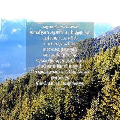 Picture 04 - நெகேமியா 12:46 TAMIRV - தாவீதும் - Bible Verse Picture