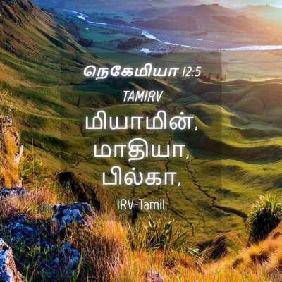 Picture 04 - நெகேமியா 12:5 TAMIRV - மியாமின், மாதியா, - Bible Verse Picture