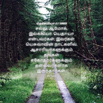 Picture 04 - நெகேமியா 12:7 TAMIRV - சல்லு, ஆமோக், - Bible Verse Picture