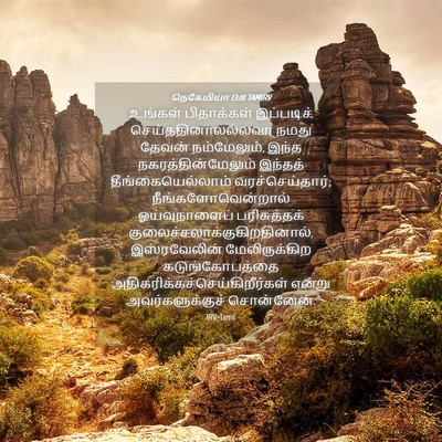 Picture 04 - நெகேமியா 13:18 TAMIRV - உங்கள் பிதாக்கள் - Bible Verse Picture