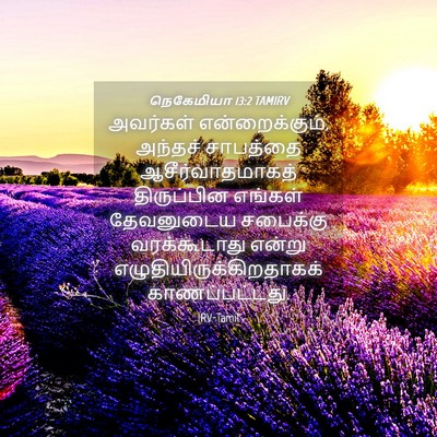 Picture 04 - நெகேமியா 13:2 TAMIRV - அவர்கள் - Bible Verse Picture