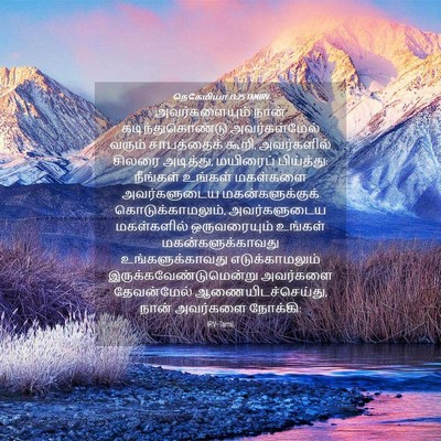 Picture 04 - நெகேமியா 13:25 TAMIRV - அவர்களையும் நான் - Bible Verse Picture
