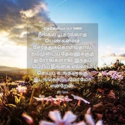 Picture 04 - நெகேமியா 13:27 TAMIRV - நீங்கள் யூதரல்லாத - Bible Verse Picture