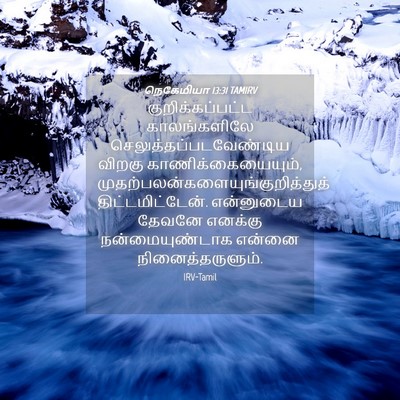 Picture 04 - நெகேமியா 13:31 TAMIRV - குறிக்கப்பட்ட - Bible Verse Picture