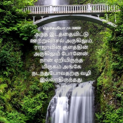 Picture 04 - நெகேமியா 2:14 TAMIRV - அந்த இடத்தைவிட்டு - Bible Verse Picture