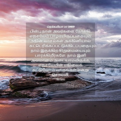 Picture 04 - நெகேமியா 2:17 TAMIRV - பின்பு நான் - Bible Verse Picture
