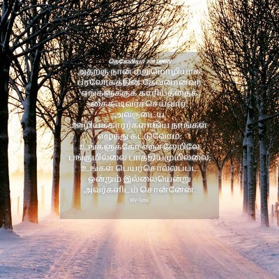 Picture 04 - நெகேமியா 2:20 TAMIRV - அதற்கு நான் - Bible Verse Picture