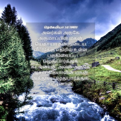 Picture 04 - நெகேமியா 3:10 TAMIRV - அவர்கள் அருகே - Bible Verse Picture