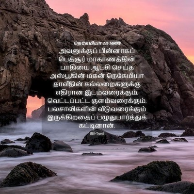 Picture 04 - நெகேமியா 3:16 TAMIRV - அவனுக்குப் - Bible Verse Picture