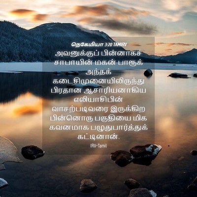 Picture 04 - நெகேமியா 3:20 TAMIRV - அவனுக்குப் - Bible Verse Picture
