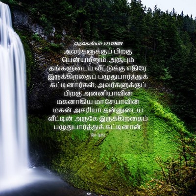 Picture 04 - நெகேமியா 3:23 TAMIRV - அவர்களுக்குப் - Bible Verse Picture
