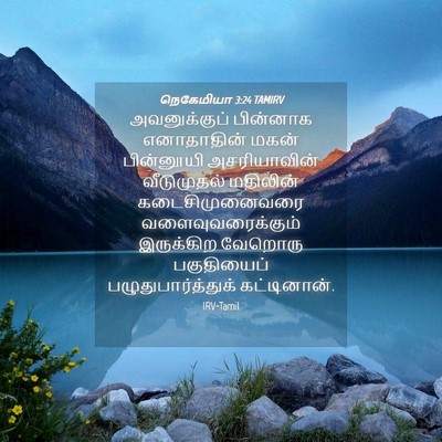 Picture 04 - நெகேமியா 3:24 TAMIRV - அவனுக்குப் - Bible Verse Picture