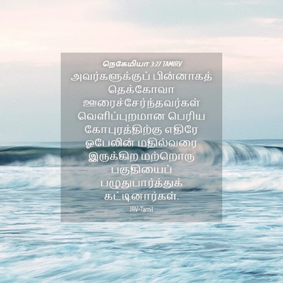 Picture 04 - நெகேமியா 3:27 TAMIRV - அவர்களுக்குப் - Bible Verse Picture