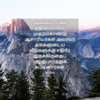 Picture 04 - நெகேமியா 3:28 TAMIRV - குதிரைவாசல் - Bible Verse Picture
