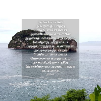 Picture 04 - நெகேமியா 3:30 TAMIRV - அவனுக்குப் பிறகு - Bible Verse Picture