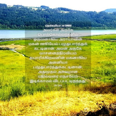 Picture 04 - நெகேமியா 3:8 TAMIRV - அவர்கள் அருகே - Bible Verse Picture